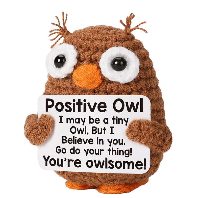 N28568-Crochet Amigurumi Owl Gift for Desk Decor and Encouragement