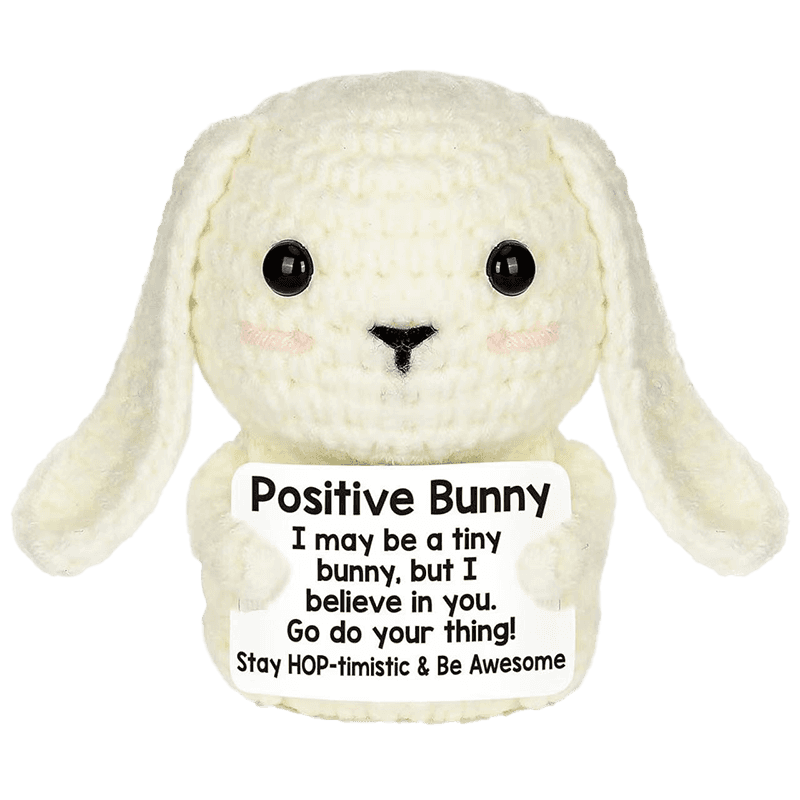 N28567-Crochet Rabbit Style Plush Gift with Encouragement Card